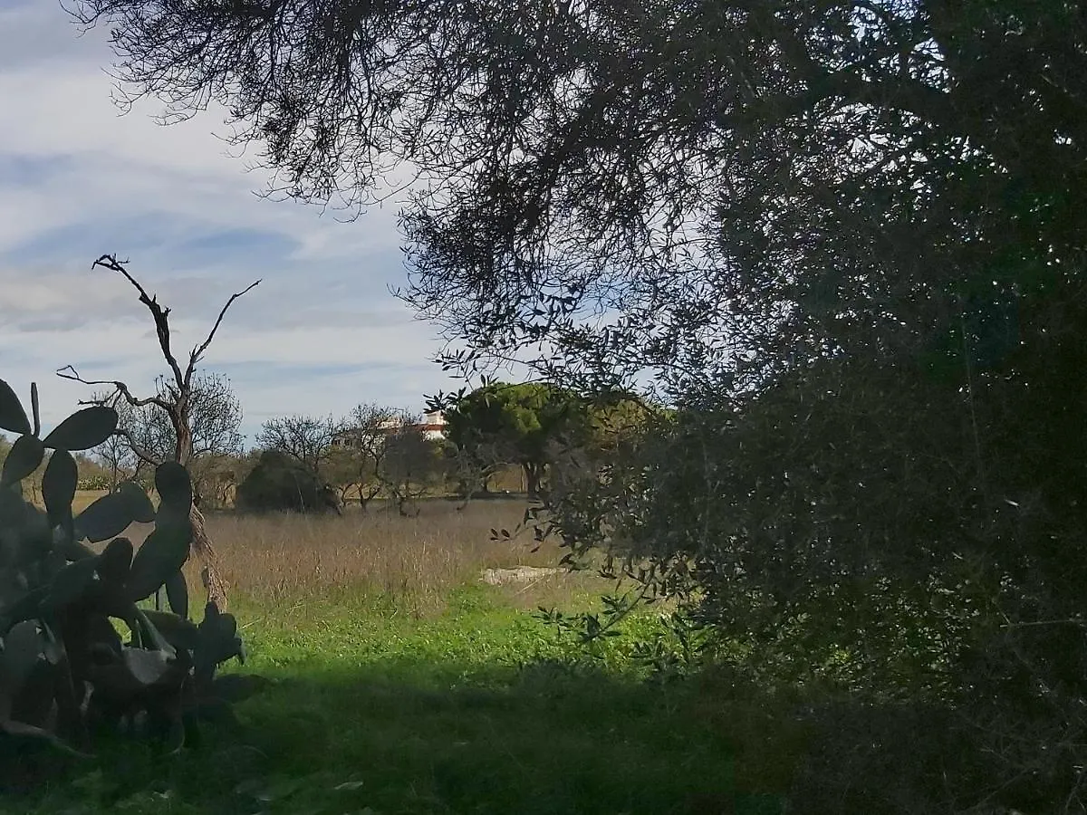 Villa Margot: Grande Moradia Com Piscina Olhao