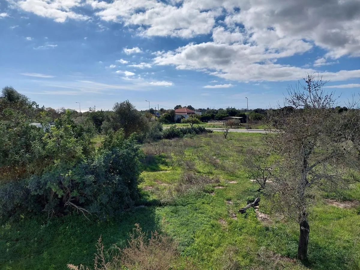 Villa Margot: Grande Moradia Com Piscina Olhao 0*,  Portugal