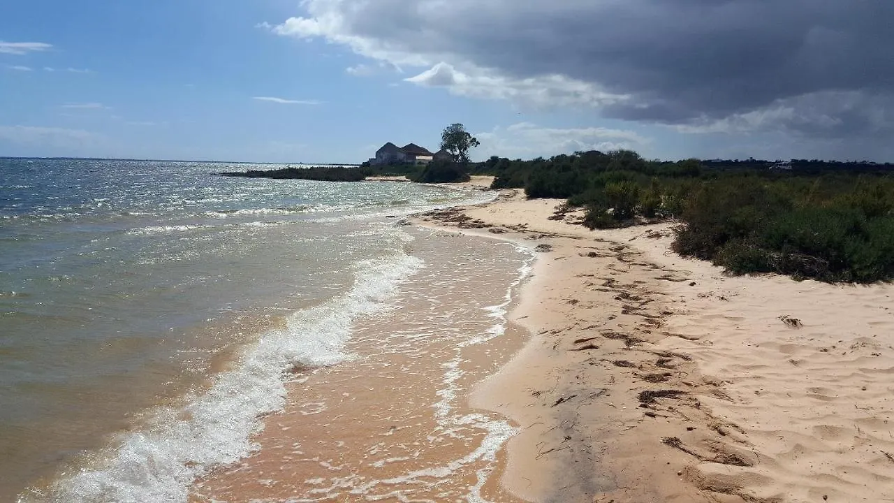 Villa Margot: Grande Moradia Com Piscina Olhao